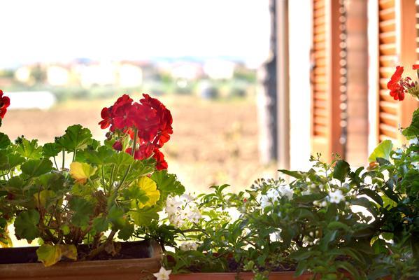 Agriturismo Bellarosa อัสซิซี ภายนอก รูปภาพ