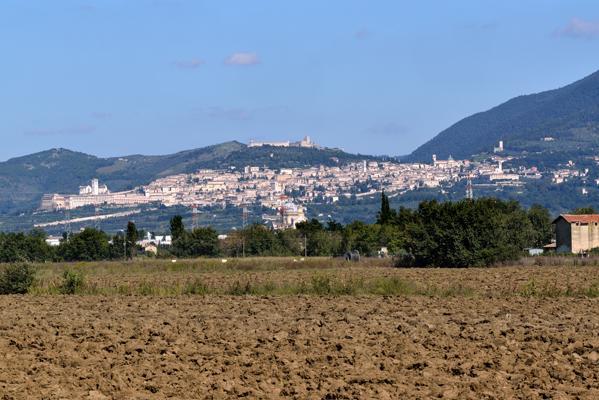 Agriturismo Bellarosa อัสซิซี ภายนอก รูปภาพ