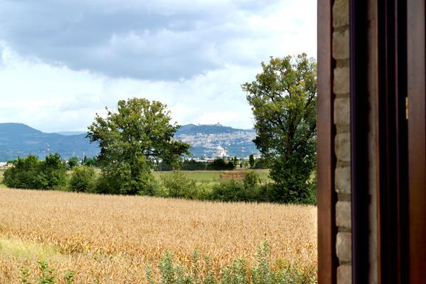 Agriturismo Bellarosa อัสซิซี ภายนอก รูปภาพ